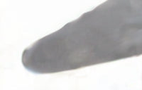 PALETA CATALANA FORJADA 180