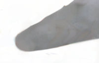 PALETA NORTE FORJADA M/BICOMPONENTE 180 mm